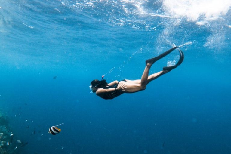 313248cff7151bd02b10a3520a18991172dfb32c